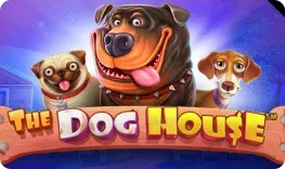 Fambet – The Dog House